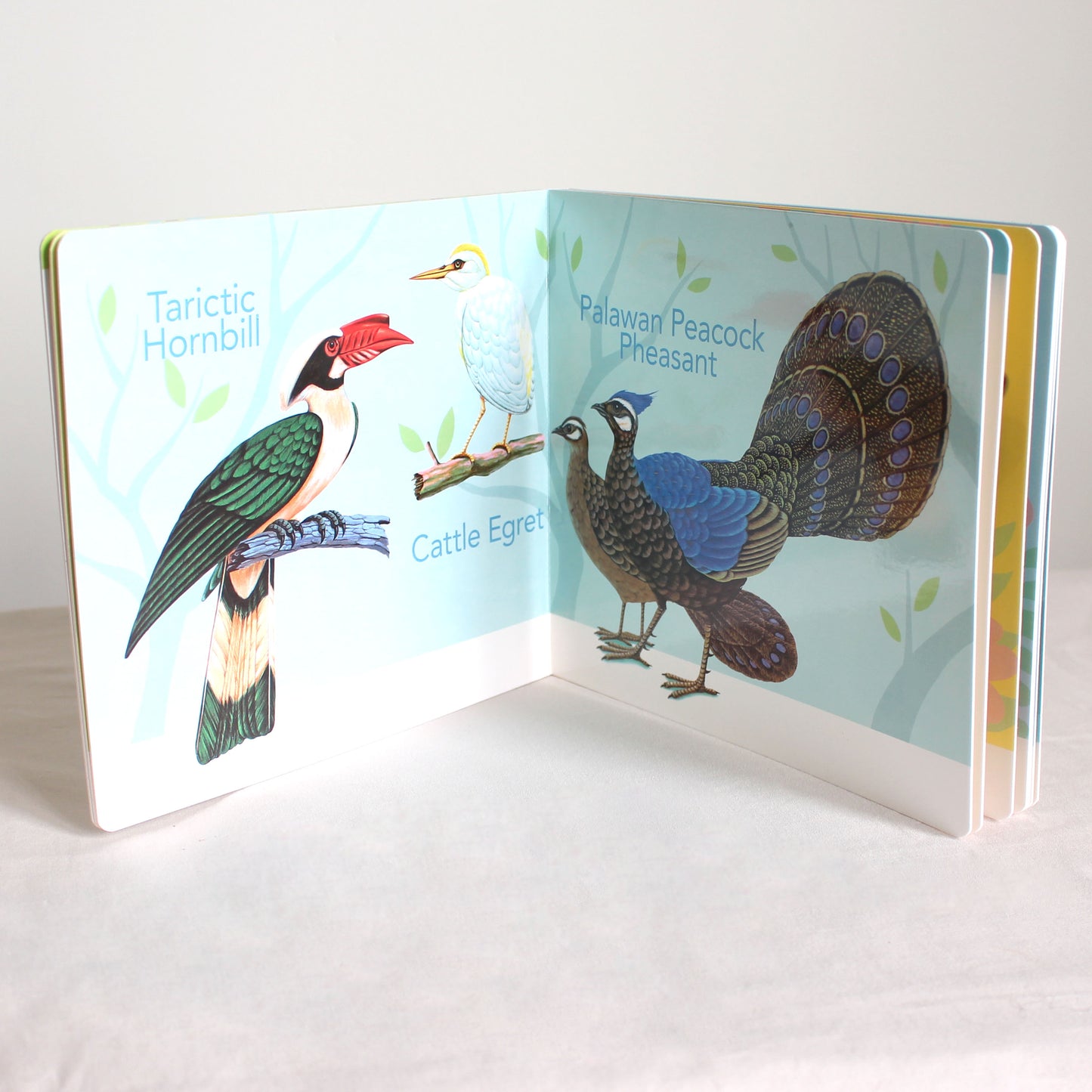 A First Look at Philippine BIRDS, BUTTERFLIES, FISHES (Board Book Edition)